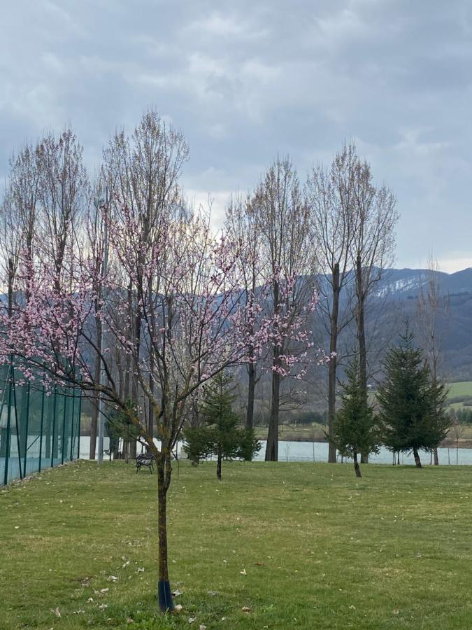 K'S Place Apartment Pravets Golf Resort Εξωτερικό φωτογραφία
