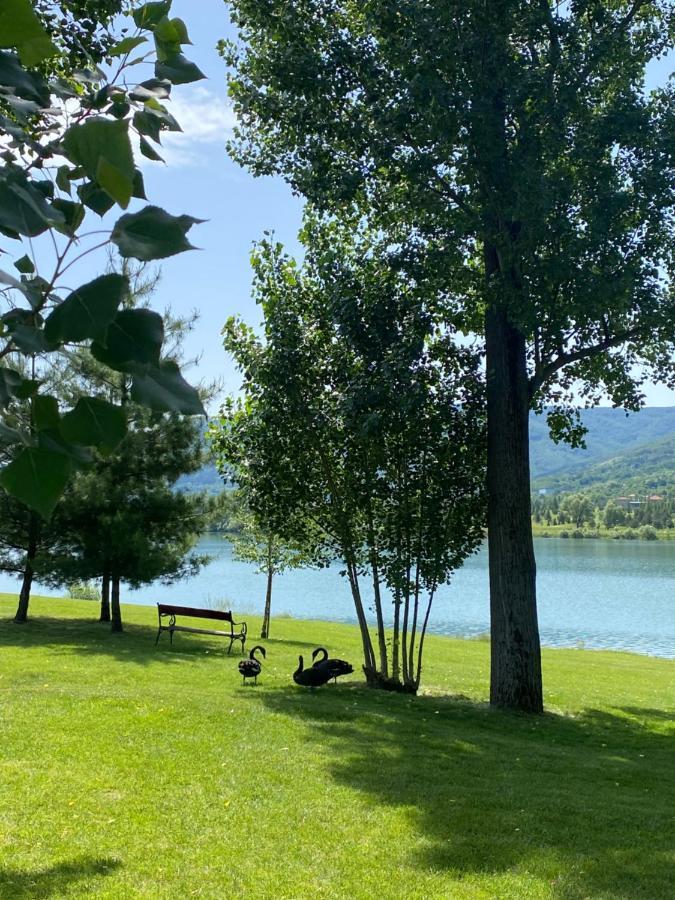 K'S Place Apartment Pravets Golf Resort Εξωτερικό φωτογραφία